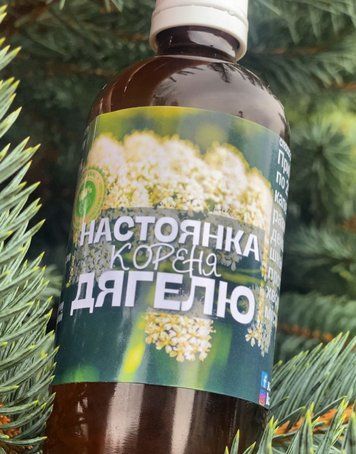Настоянка кореня дягелю nd84768 фото