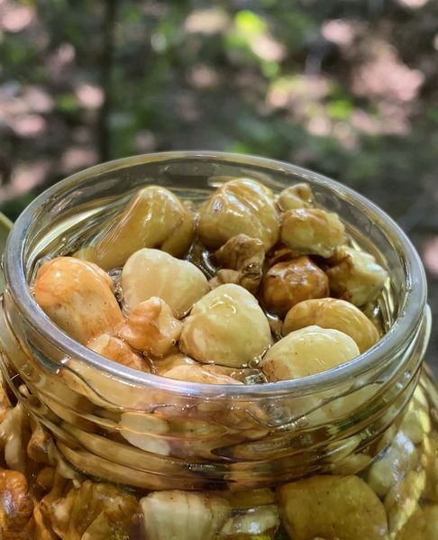 Горішки в меду з кульбаби md363732 фото